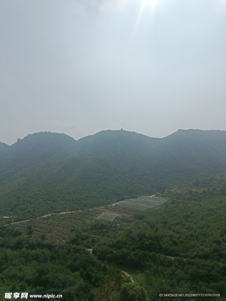 龙山