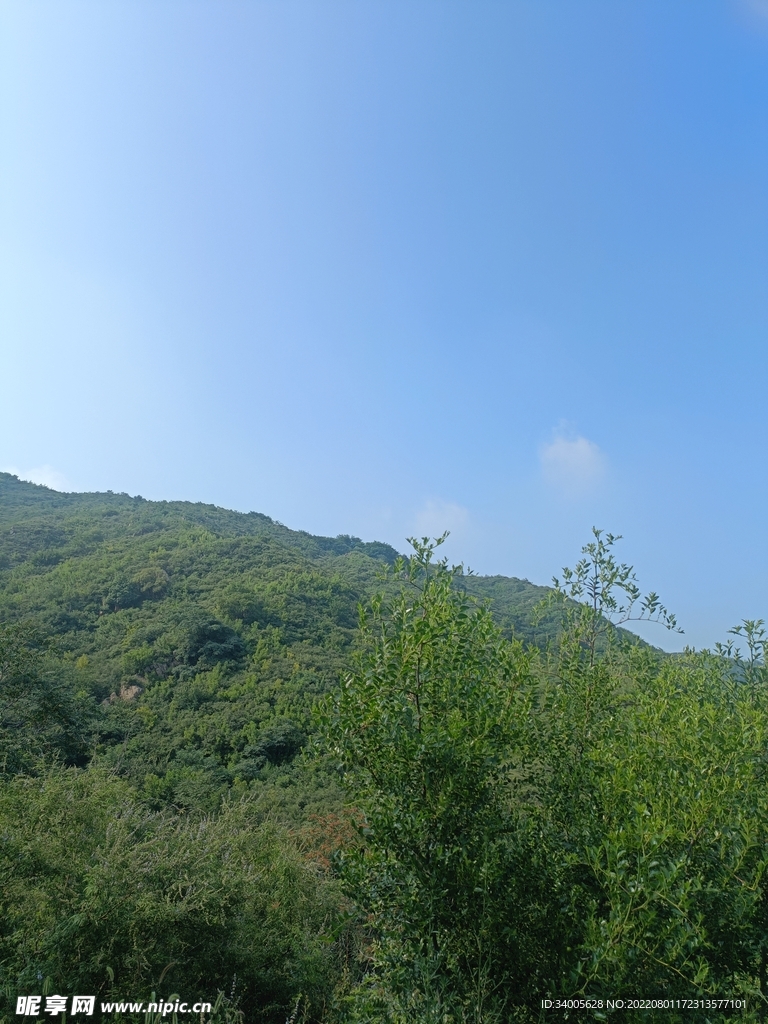 半山头