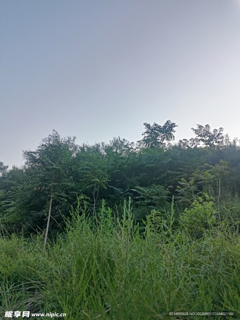下午天空