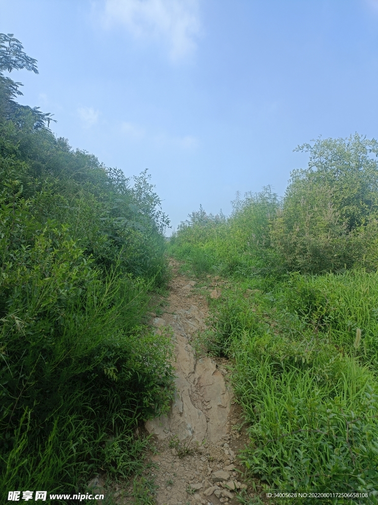 山上小路