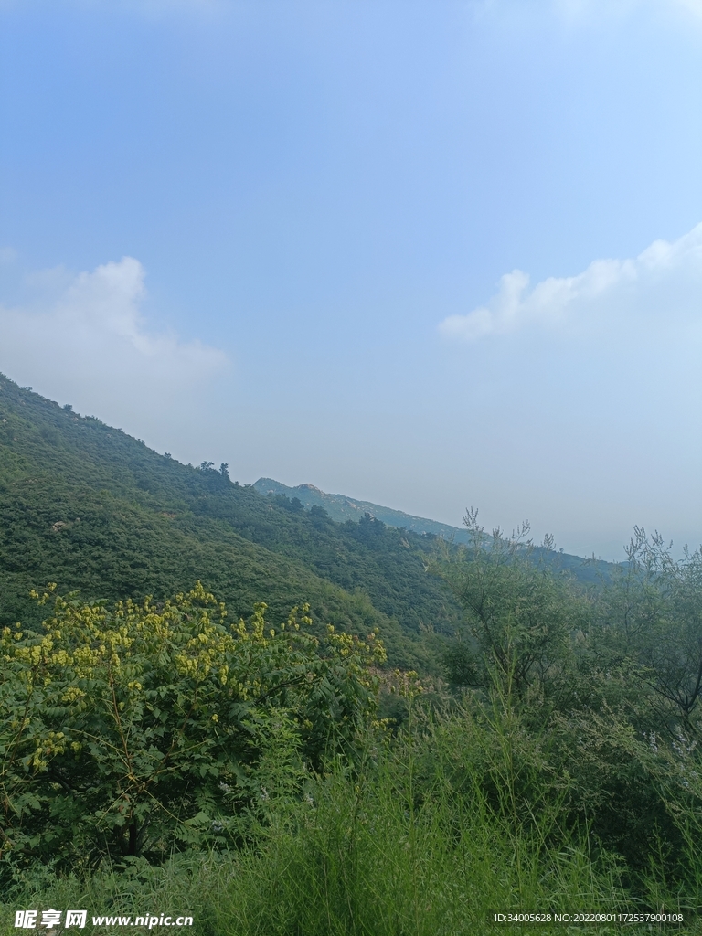 半山