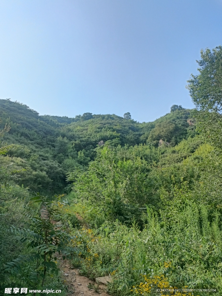 森林小路