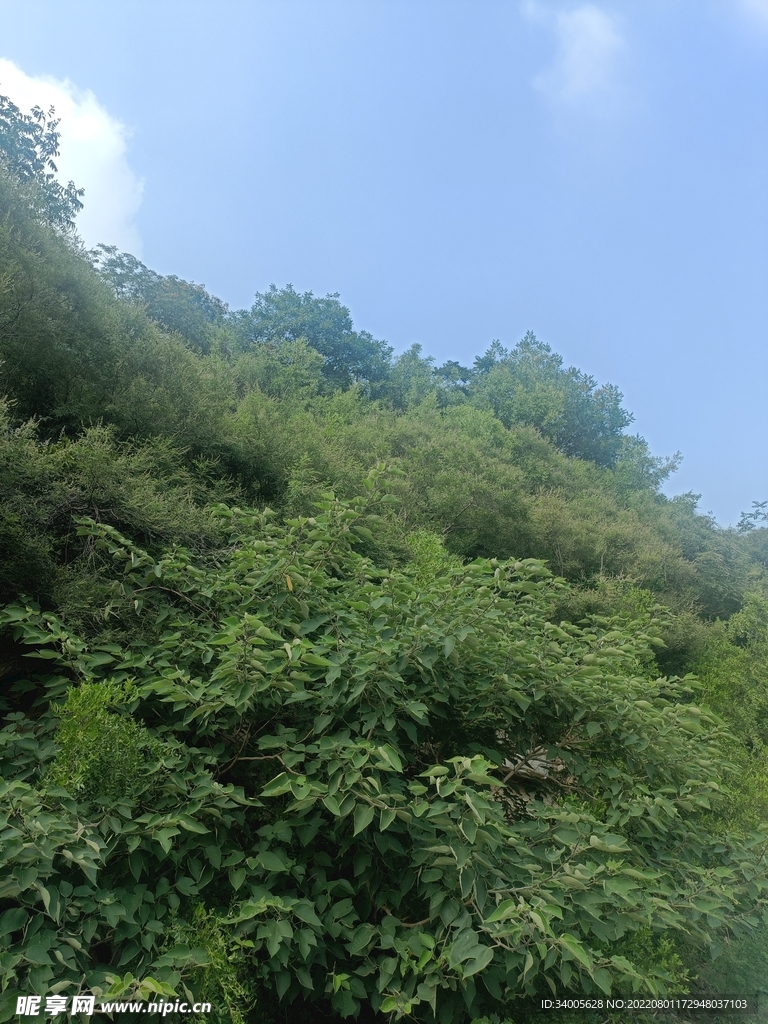 半空山