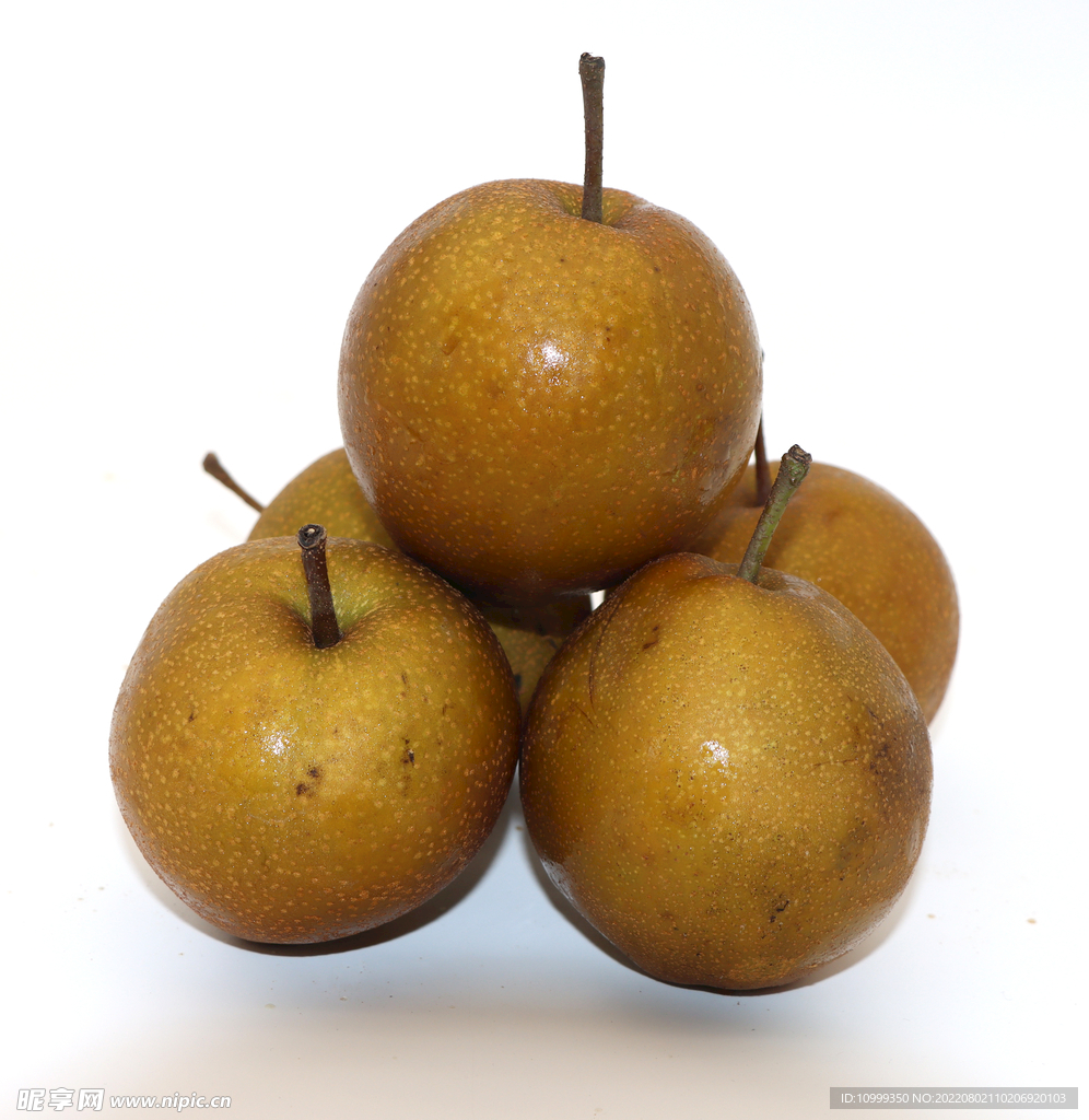 黄花梨