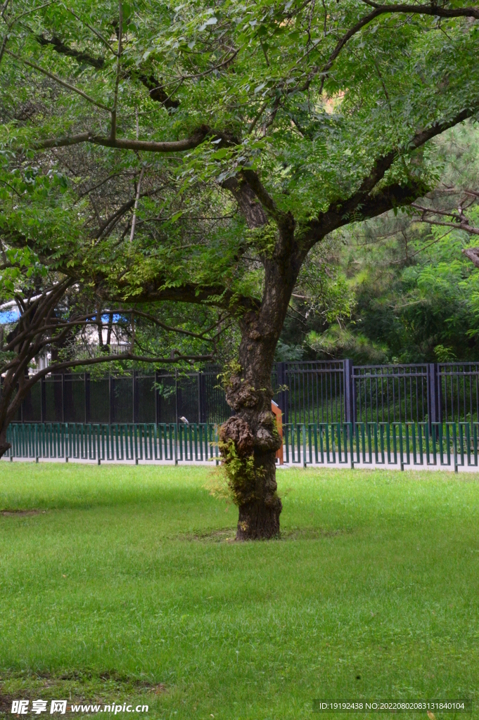 公园风景