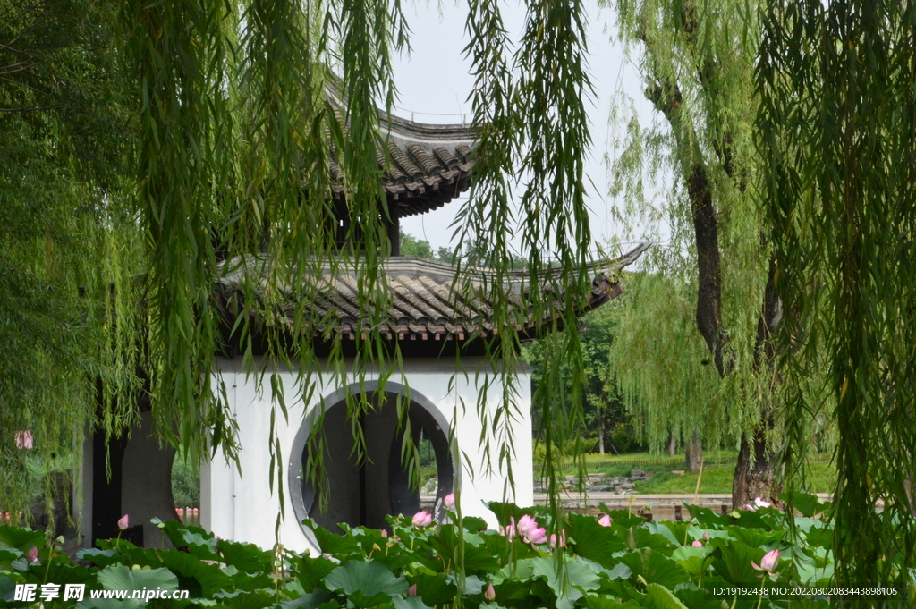 公园风景