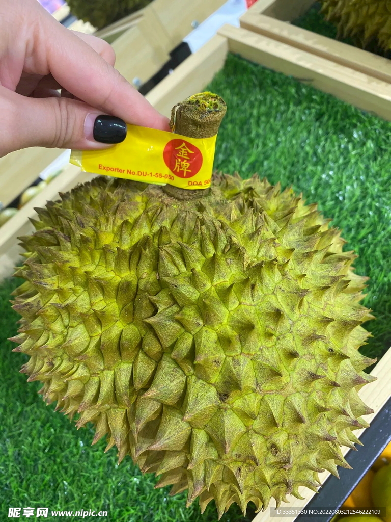 榴莲