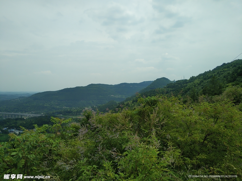 山顶