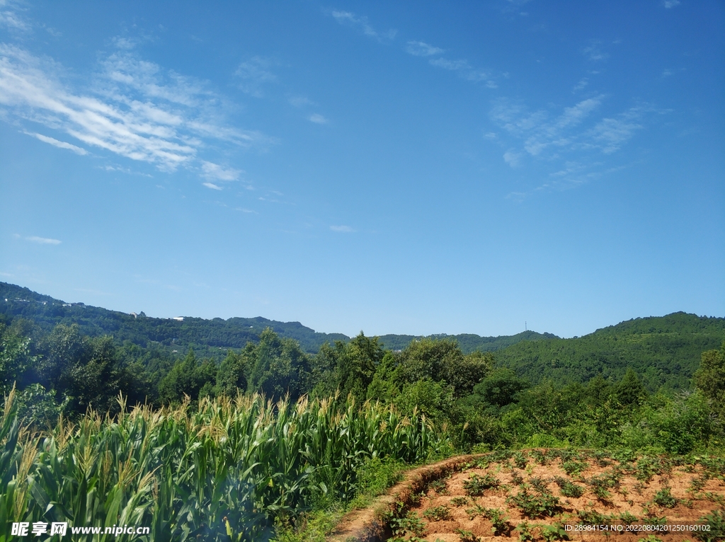 丘陵山脉