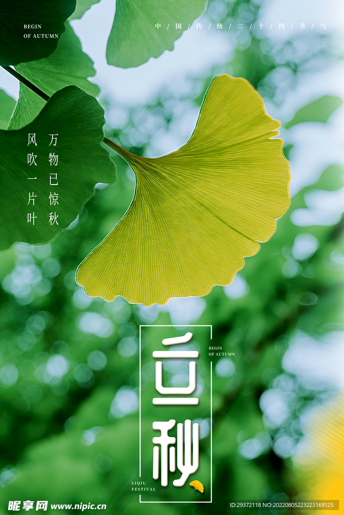 绿色小清新银杏立秋二十四节气