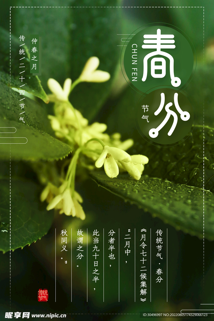 春分插画海报
