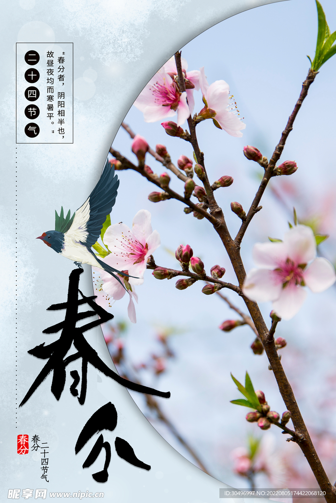 春分插画海报