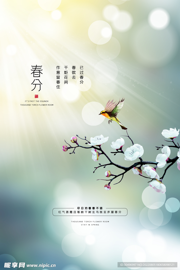 春分插画海报