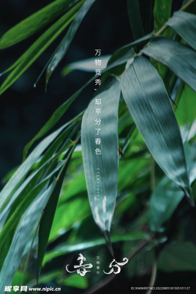 春分插画海报