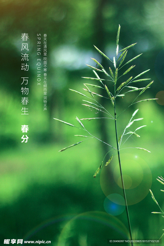 春分插画海报