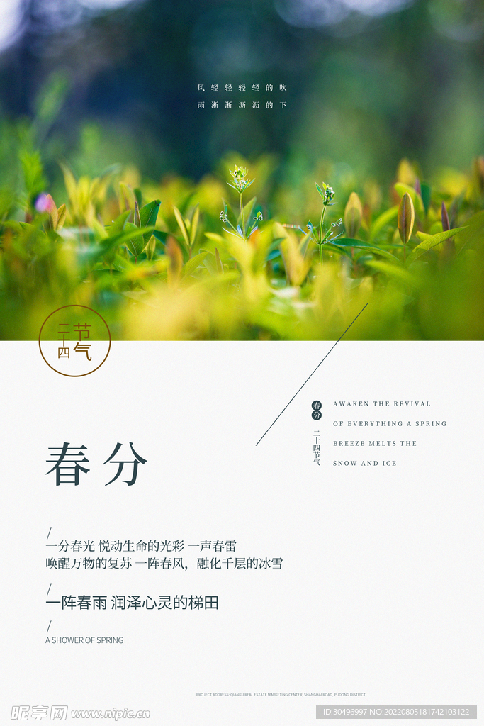 春分插画海报