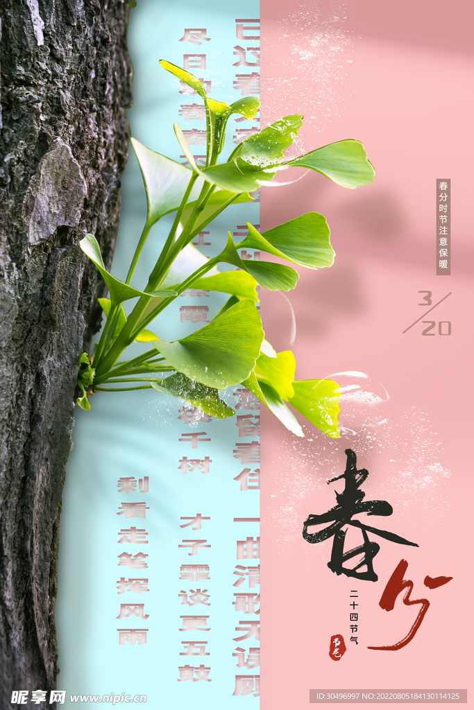 春分插画海报