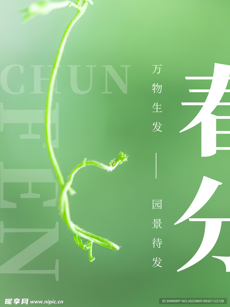 春分插画海报