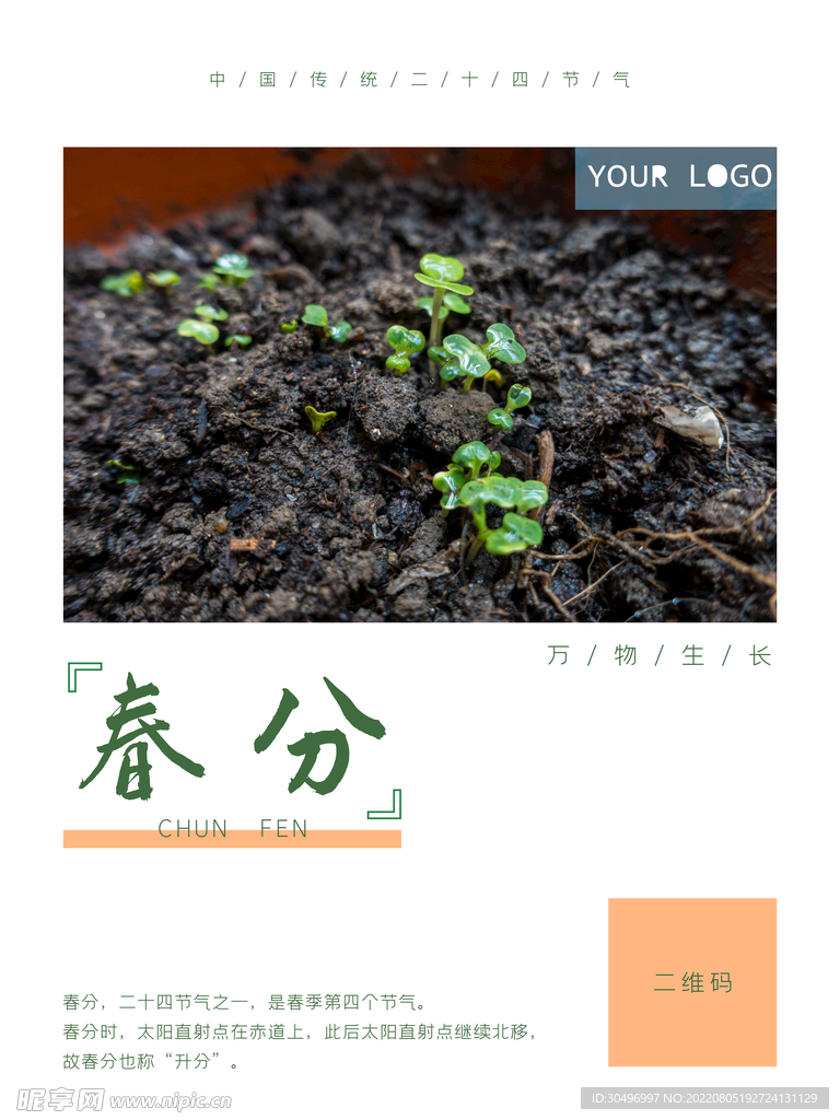 春分插画海报 