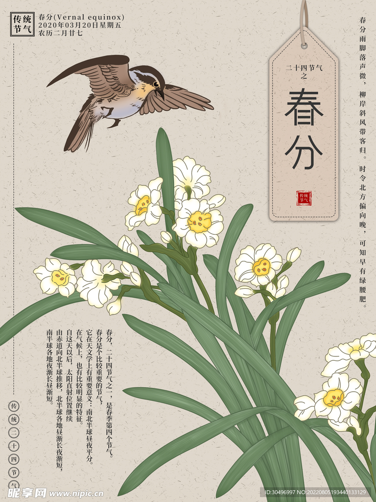 春分插画海报