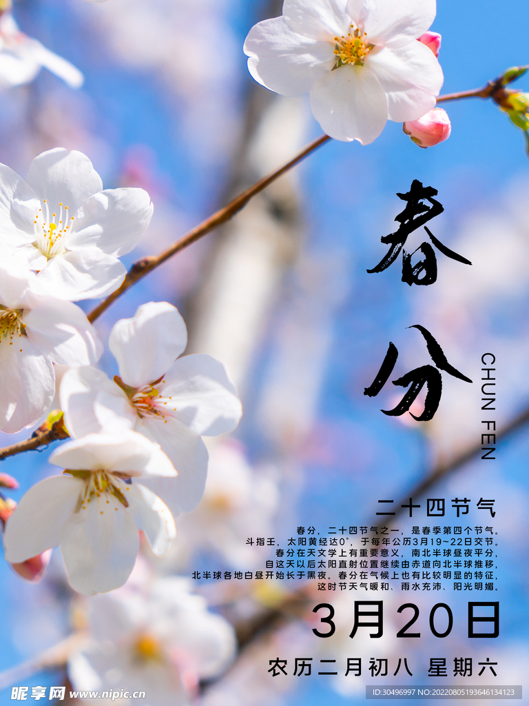 春分插画海报