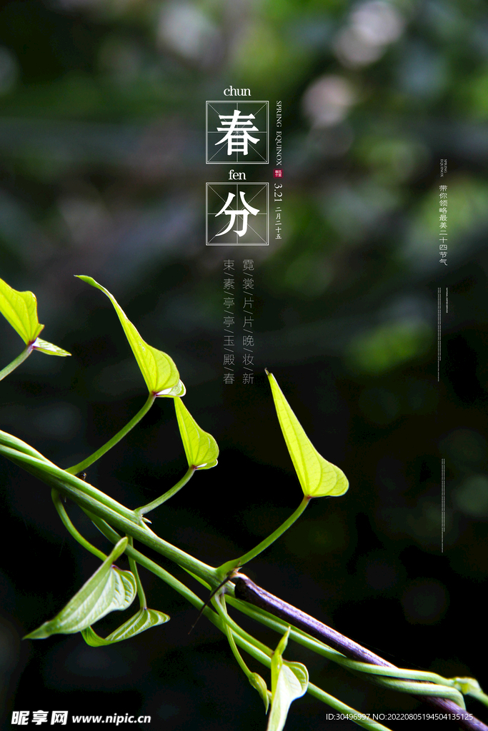 春分插画海报