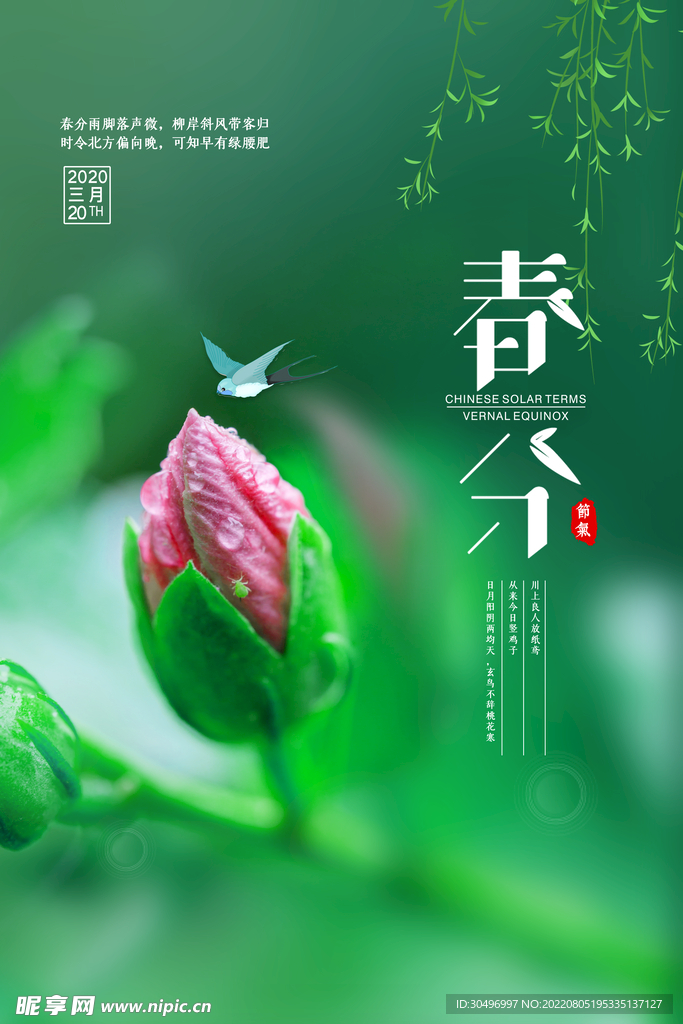 春分插画海报