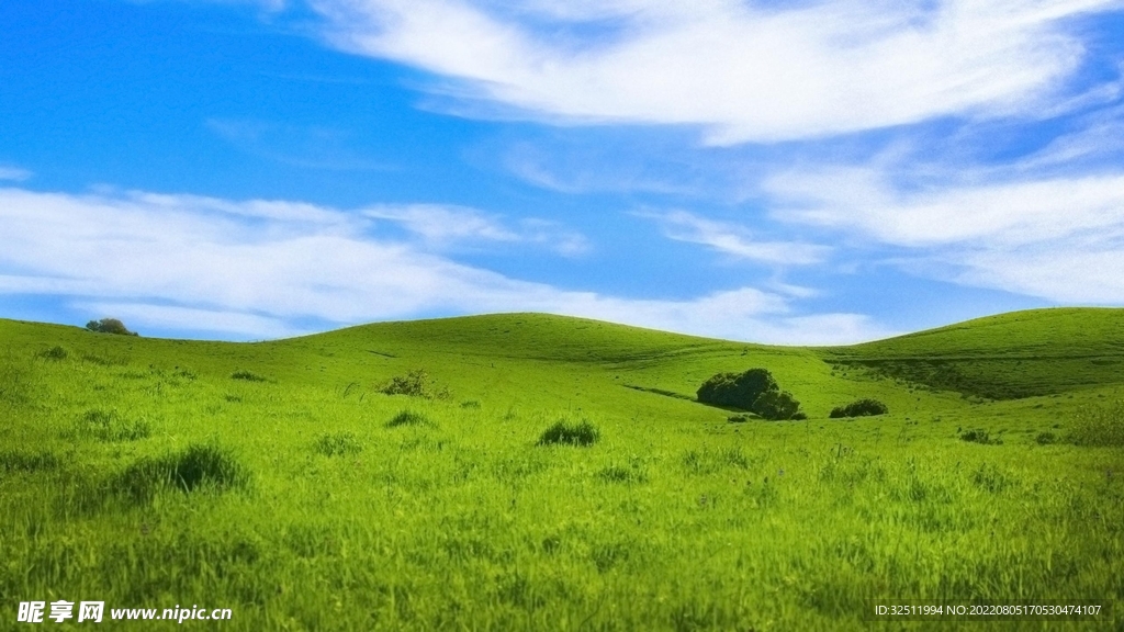 蓝天和草地