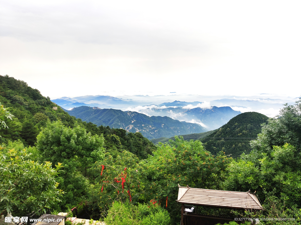 泰山