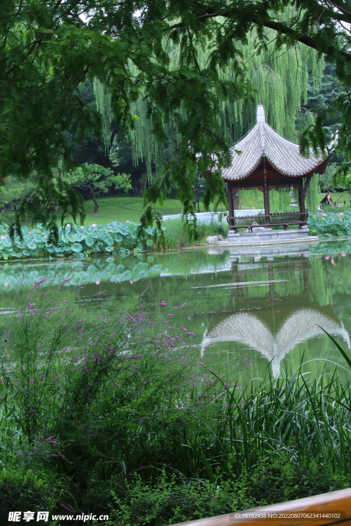 公园风景