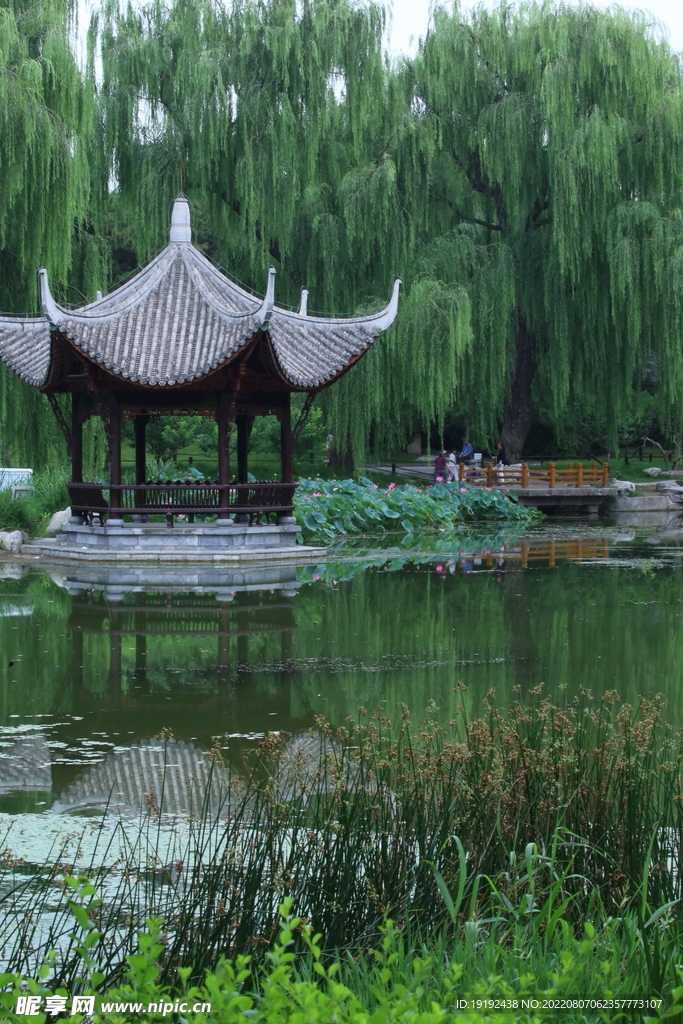 公园风景