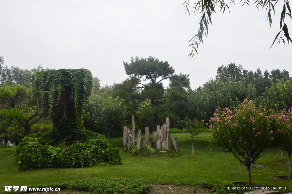 公园风景 