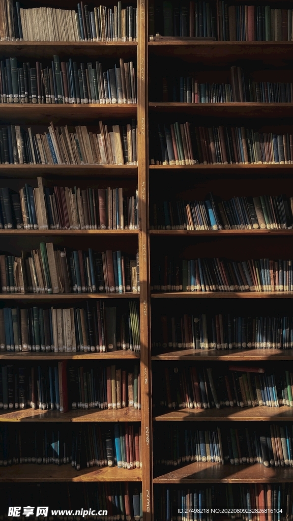 图书馆书架图片藏书馆高清壁纸