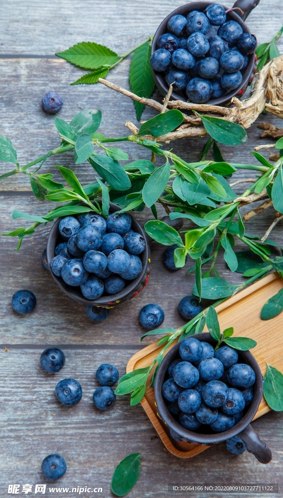 新鲜蓝莓水果