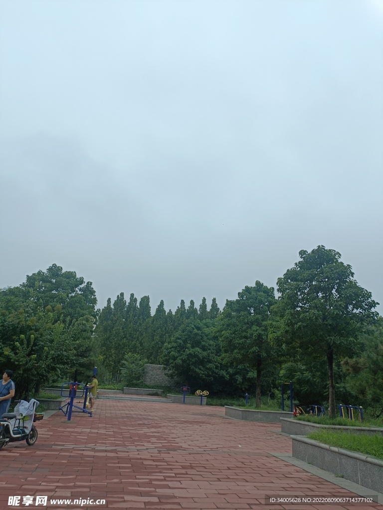 雨后树木路边