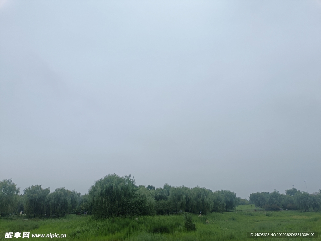 下午风景