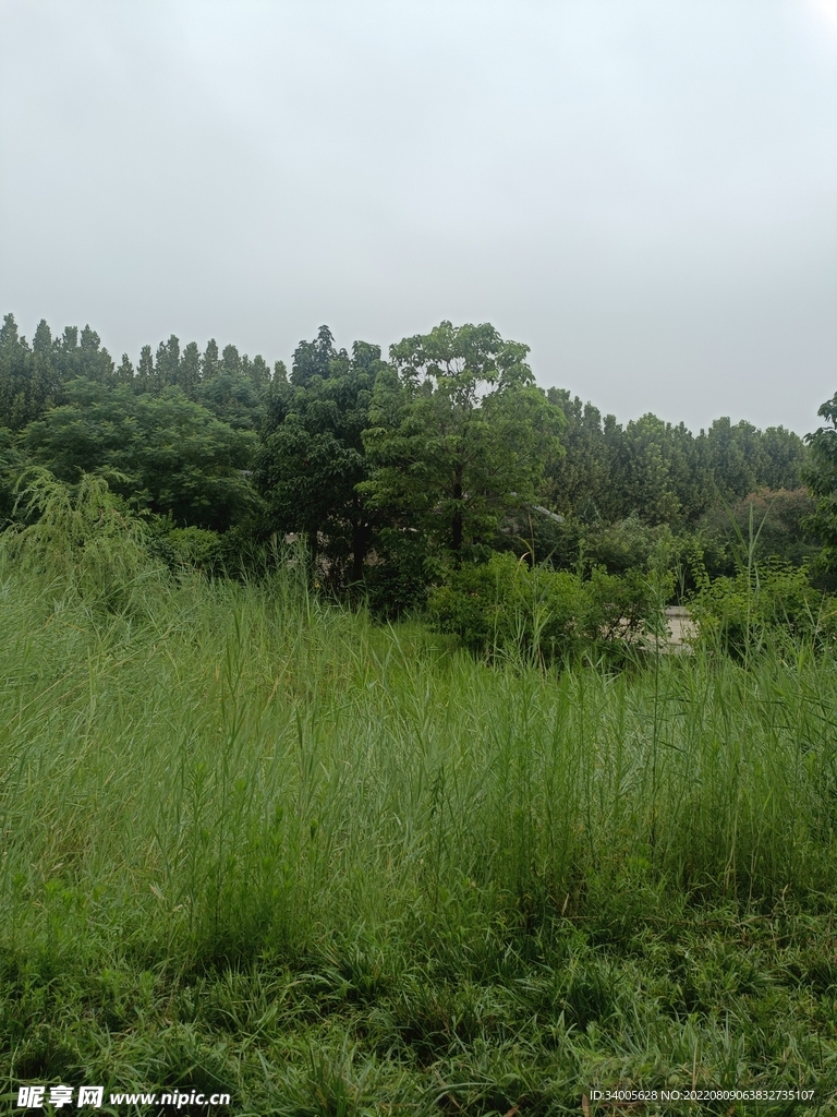 雨后天空植物公园