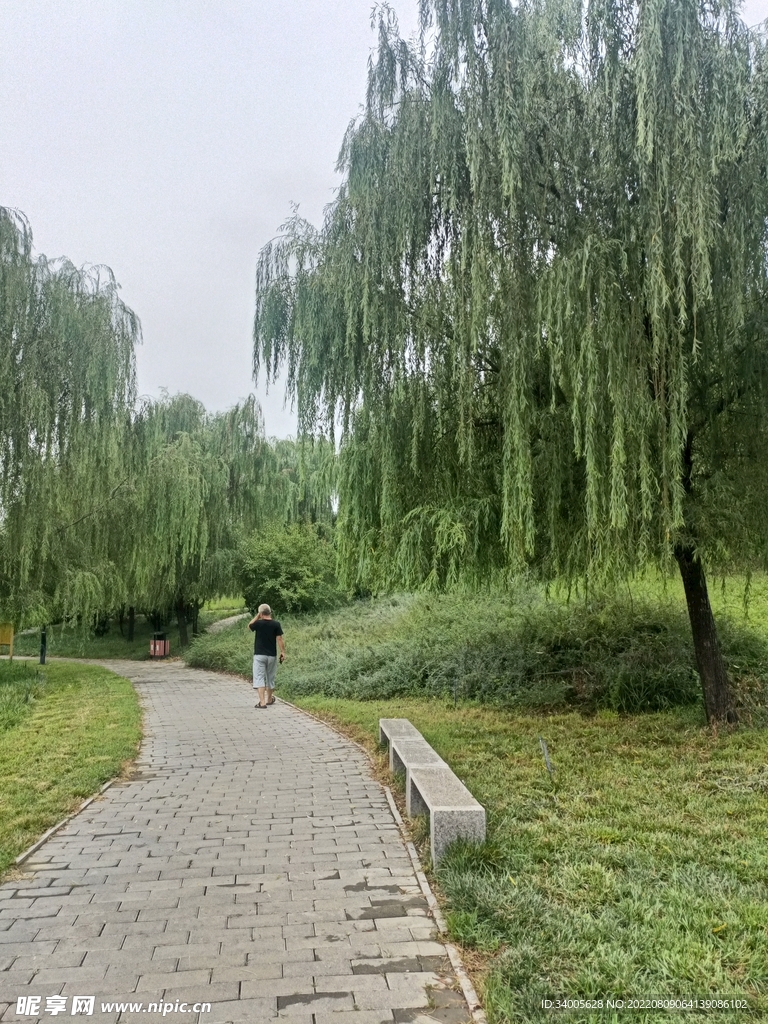 小路公园