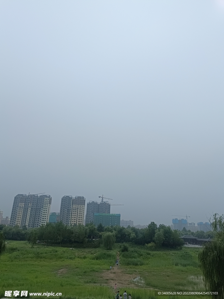 半空树木公园