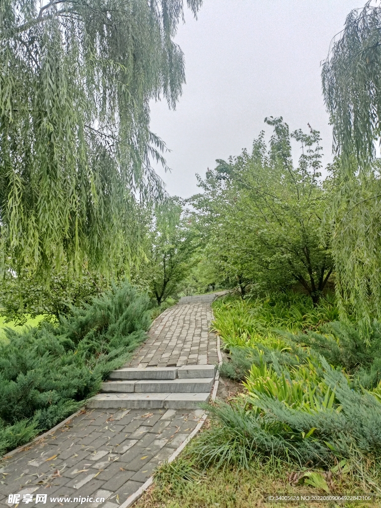 公园小路