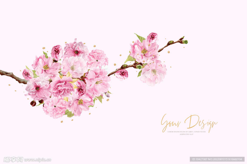 梅花樱花