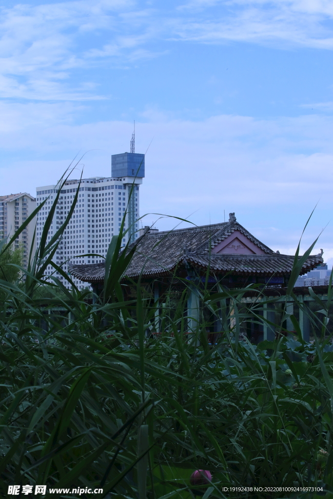 公园风景 