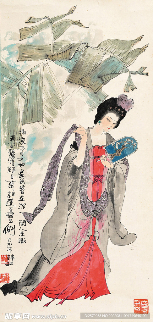 杨玉环