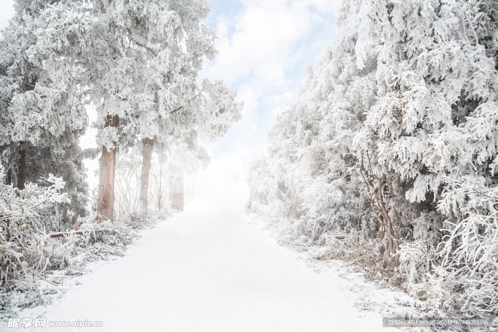雪景