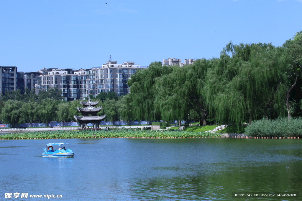 公园风景 