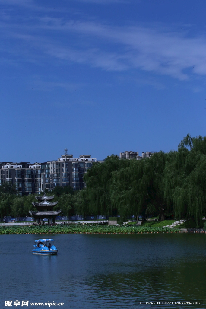 公园风景 