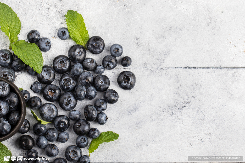 新鲜蓝莓水果