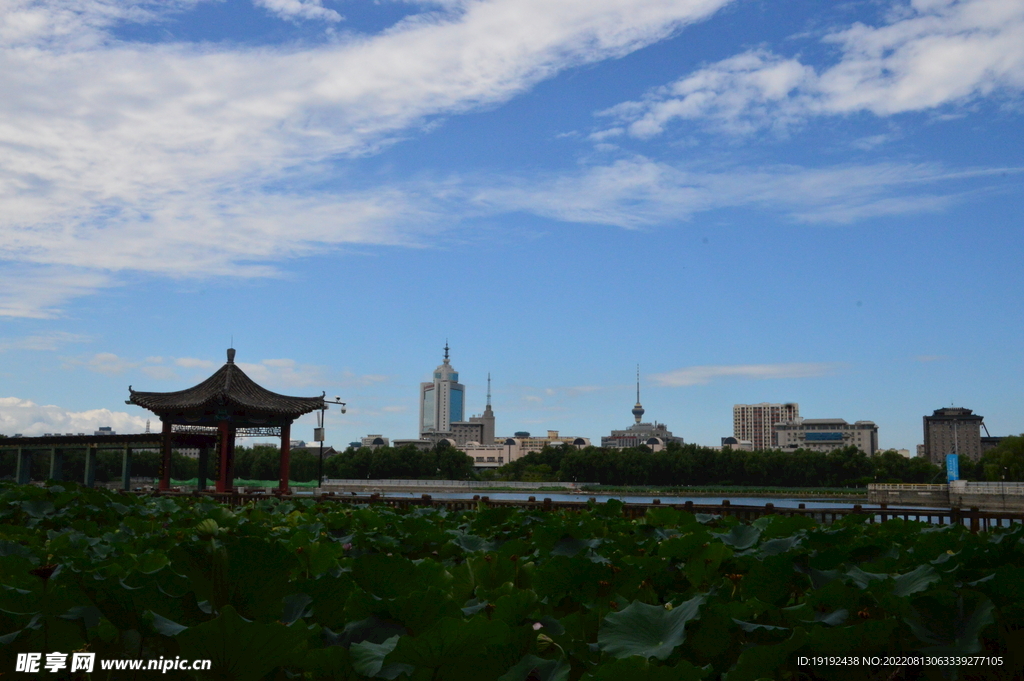 公园风景 