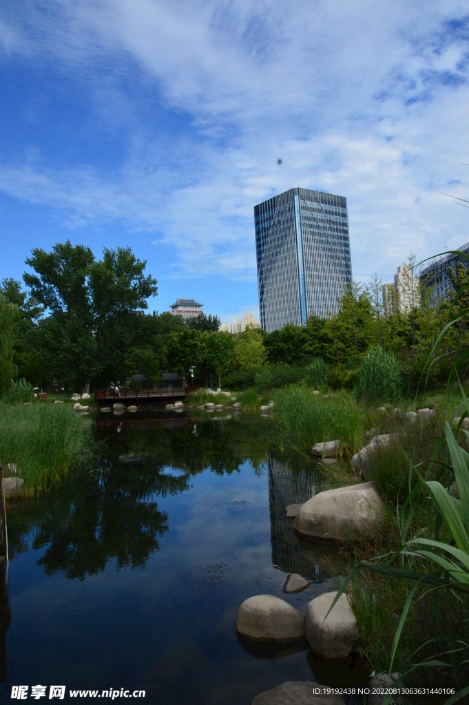 公园风景 