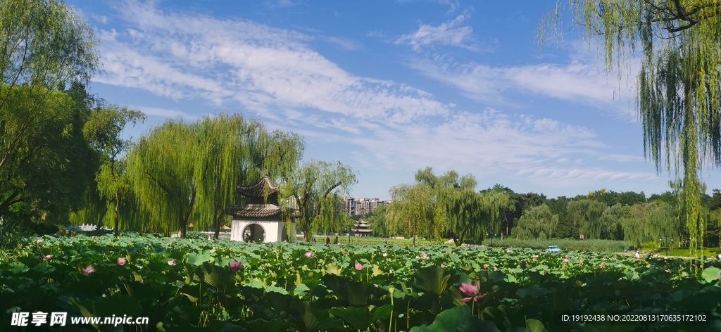 陶然亭风景